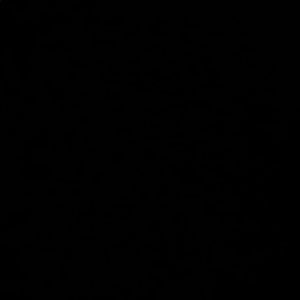 Meet your Posher, Ava